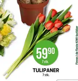 Kiwi TULIPANER tilbud