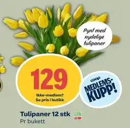 Coop Mega Tulipaner 12 stk, Medlemspris tilbud