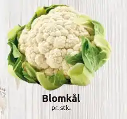 Joker Blomkål tilbud