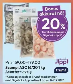 Gigaboks Scampi ASC 16/20 1 kg tilbud