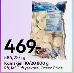 Gigaboks Kamskjell 10/20 800 g tilbud