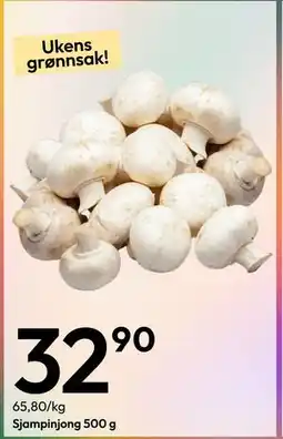 Gigaboks Sjampinjong 500 g tilbud