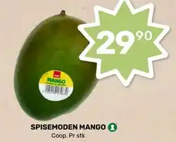 Matkroken SPISEMODEN MANGO tilbud