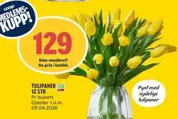 Coop Prix TULIPANER 12 STK, Medlemspris tilbud