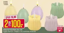 Europris EGGLYS/TULIPAN LED-LYS tilbud