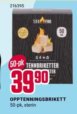 Europris OPPTENNINGSBRIKETT tilbud