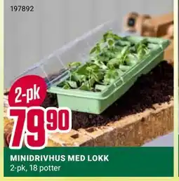 Europris MINIDRIVHUS MED LOKK tilbud
