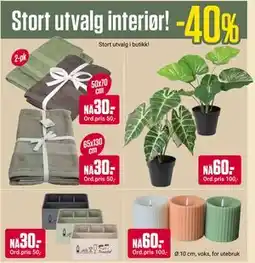 Europris Stort utvalg interiør! tilbud