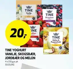 Bunnpris TINE YOGHURT VANILJE, SKOGSBÆR, JORDBÆR OG MELON tilbud