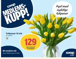 Coop Extra Tulipaner 12 stk tilbud