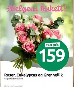 Joker Roser, Eukalyptus og Grennellik tilbud
