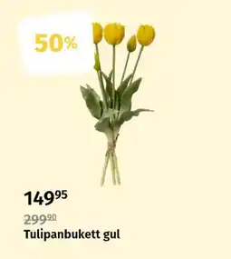 Nille Tulipanbukett gul tilbud