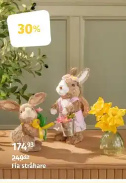 Nille Fia stråhare tilbud