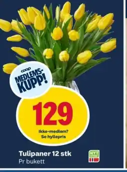 Coop Obs Tulipaner 12 stk tilbud