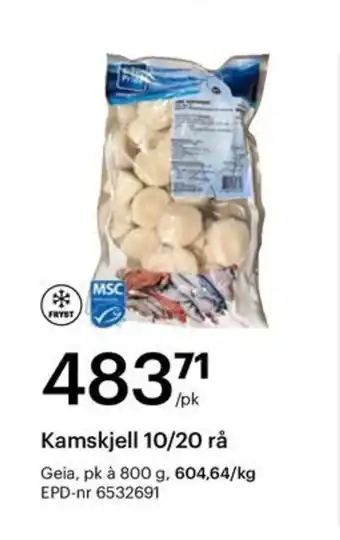 Storcash Kamskjell 10/20 rå tilbud