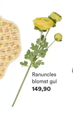 Kid Interiør Ranuncles blomst gul tilbud
