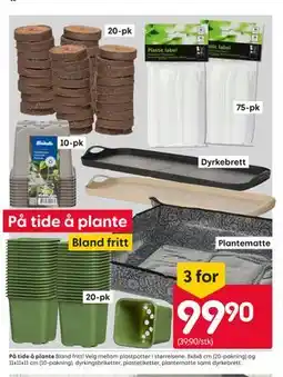 Rusta På tide å plante tilbud