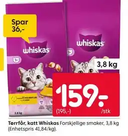 Rusta Tørrfôr, katt Whiskas tilbud