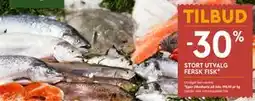 Coop Mega STORT UTVALG FERSK FISK tilbud