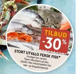 Coop Mega STORT UTVALG FERSK FISK tilbud