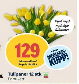 Coop Mega Tulipaner 12 stk, Medlemspris tilbud