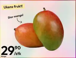 Gigaboks Mango tilbud