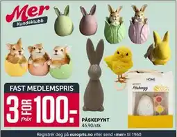 Europris PÅSKEPYNT, Medlemspris tilbud