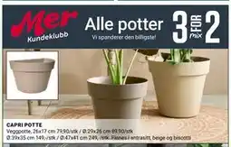 Europris CAPRI POTTE tilbud