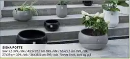 Europris SIENA POTTE tilbud