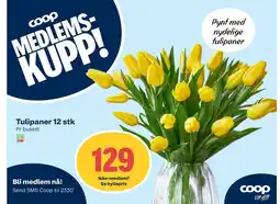 Coop Extra Tulipaner 12 stk tilbud