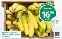 Joker Bananer tilbud