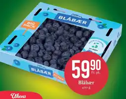 CC Mat Blåbær tilbud