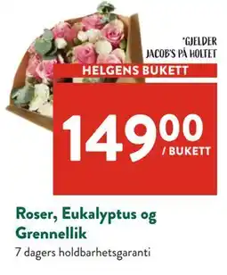 Jacobs Roser, Eukalyptus og Grennellik tilbud