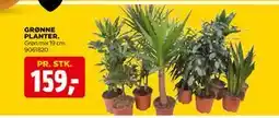 jem & fix GRØNNE PLANTER tilbud