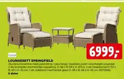 jem & fix LOUNGESETT SPRINGFIELD tilbud