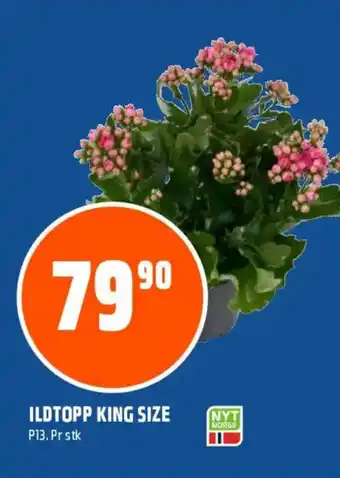 Coop Obs Ildtopp king size tilbud