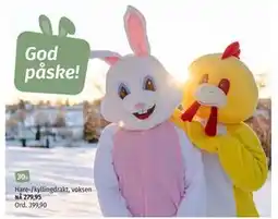 Nille Hare-/kyllingdrakt, voksen tilbud