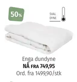 Nille Enga dundyne tilbud
