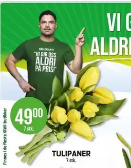 Kiwi TULIPANER tilbud