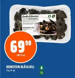 Coop Obs DOMSTEIN BLÅSKJELL tilbud