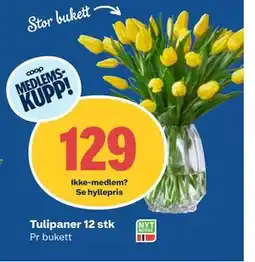 Coop Obs Tulipaner 12 stk, Medlemspris tilbud