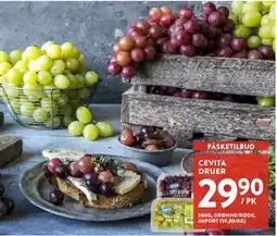 Jacobs CEVITA DRUER tilbud