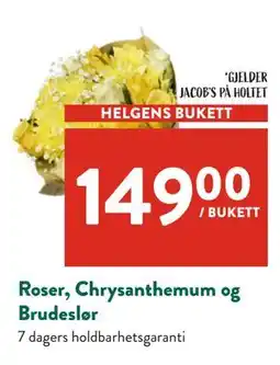 Jacobs Roser, Chrysanthemum og Brudeslør tilbud