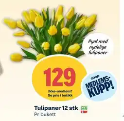 Coop Mega Tulipaner 12 stk, Medlemspris tilbud