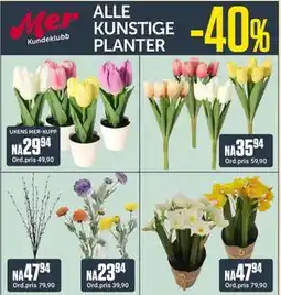 Europris ALLE KUNSTIGE PLANTER, App-pris tilbud
