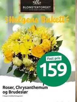 Joker Roser, Chrysanthemum og Brudeslør tilbud