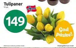 Joker Tulipaner tilbud