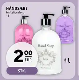 Scandinavian Park HÅNDSÆBE, EUR 2 tilbud