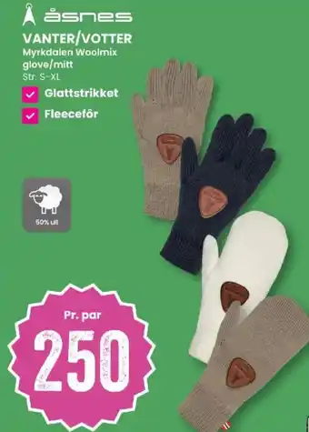 Åsnes vanter/votter