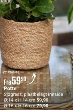 Europris Potte tilbud